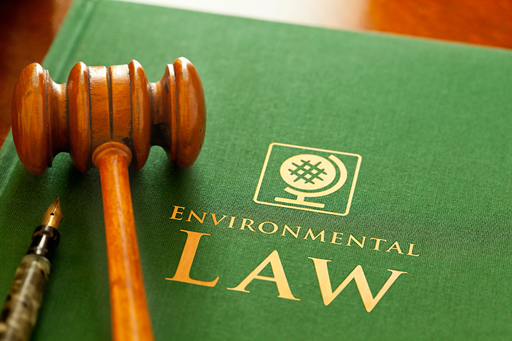 sia environmental law